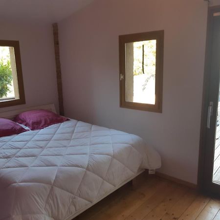 Charmant Appartement Vue Sur La Riviere. アルビ エクステリア 写真