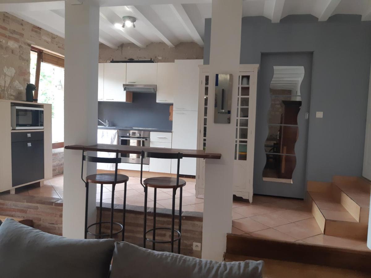 Charmant Appartement Vue Sur La Riviere. アルビ エクステリア 写真