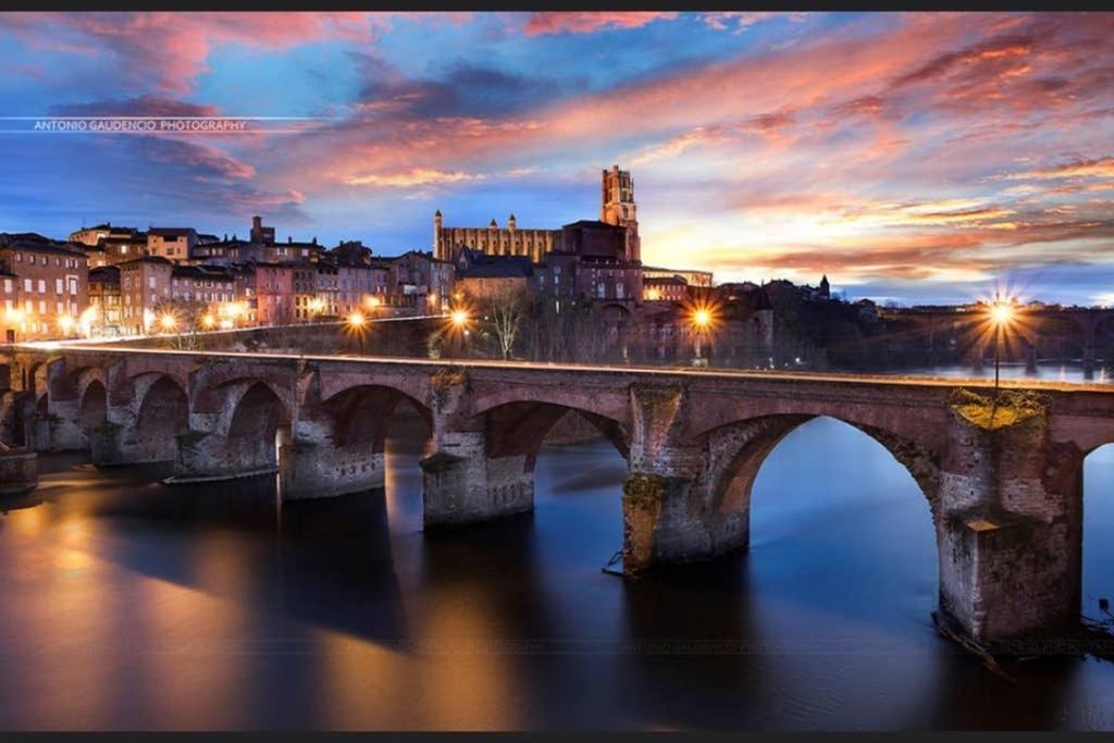 Charmant Appartement Vue Sur La Riviere. アルビ エクステリア 写真